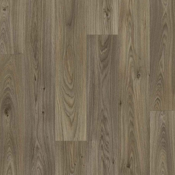 Color-gambel oak