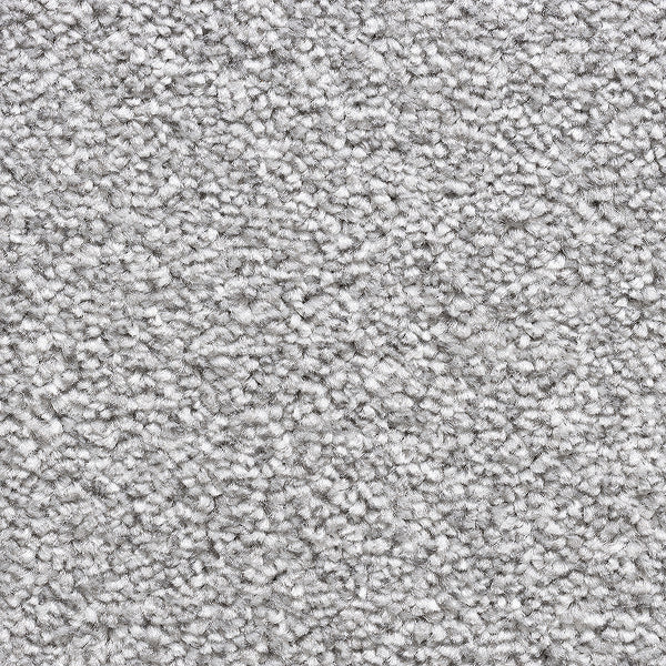 Color-176 Forest