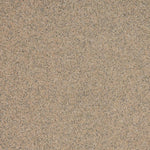 Load image into Gallery viewer, 20 Biscuit - Altro Walkway Safety Flooring