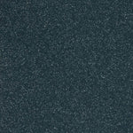 Load image into Gallery viewer, 20 Midnight - Altro Walkway Safety Flooring