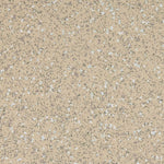 Load image into Gallery viewer, 20 Sand - Altro Walkway Safety Flooring