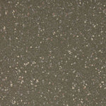 Load image into Gallery viewer, 20 Savannah - Altro Walkway Safety Flooring