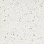 Load image into Gallery viewer, 20 Swan - Altro Walkway Safety Flooring