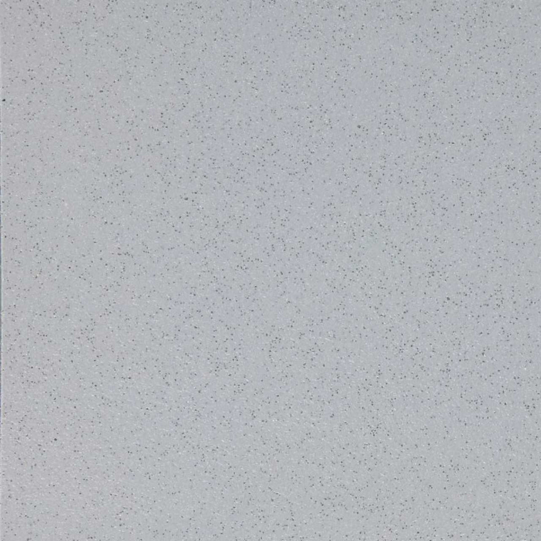 20 Temple - Altro Walkway Safety Flooring