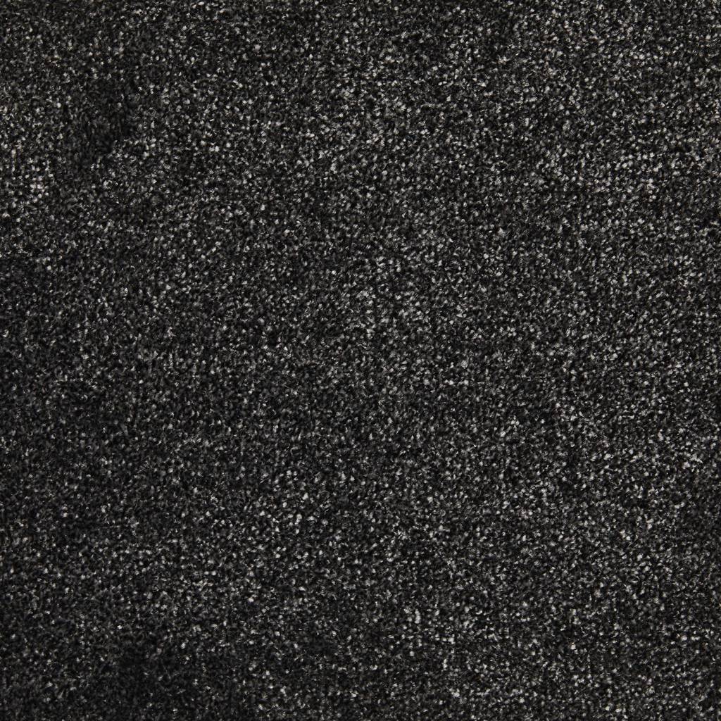 Bellagio Ab Carpet