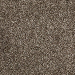 Load image into Gallery viewer, Bellagio Ab Carpet