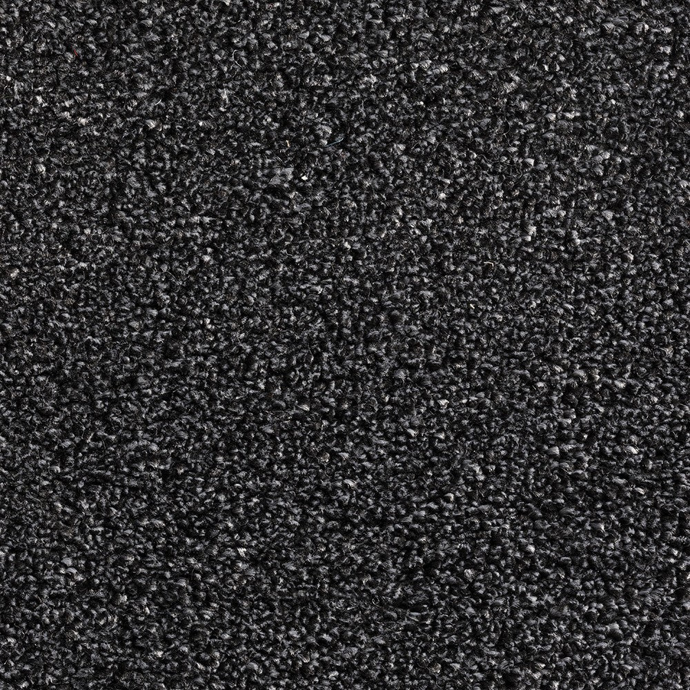 Alpha Sb Carpet