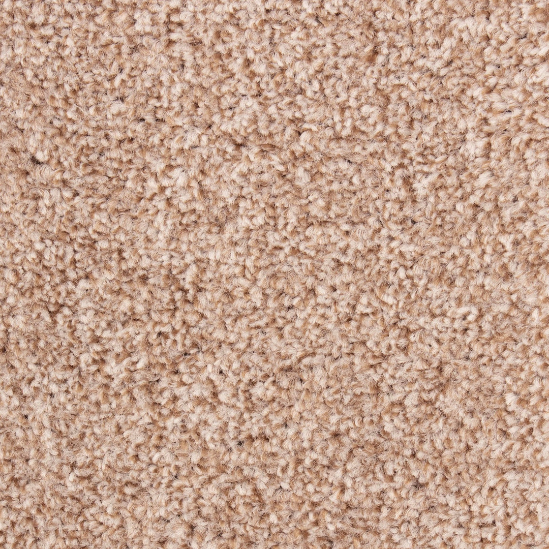 Alpha Sb Carpet