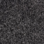 Load image into Gallery viewer, Alpha Fb Carpet
