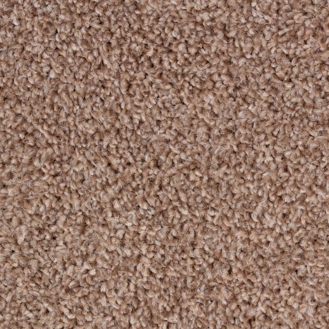 Alpha Fb Carpet