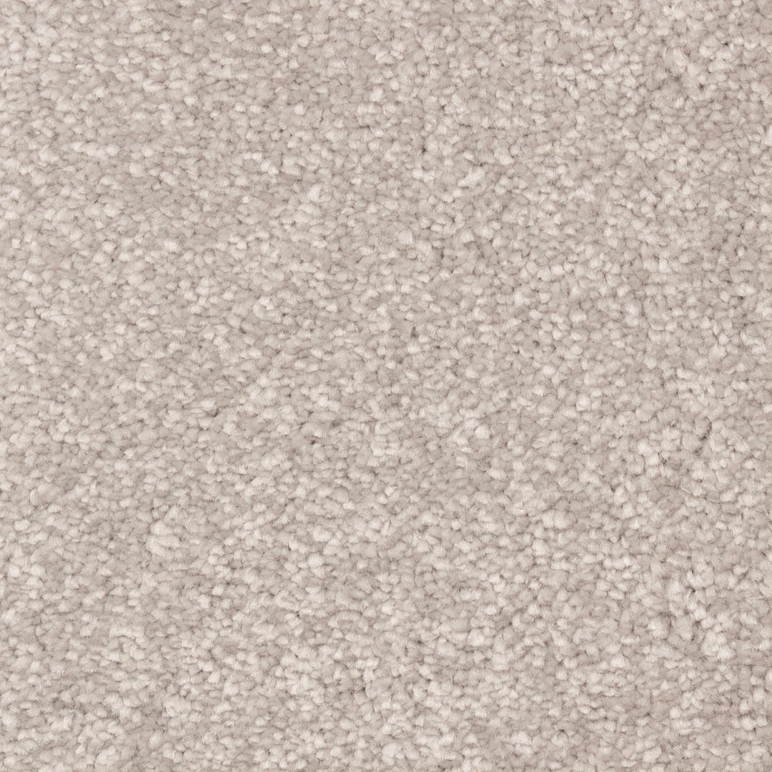 Alpha Fb Carpet