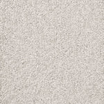 Load image into Gallery viewer, Alpha Fb Carpet