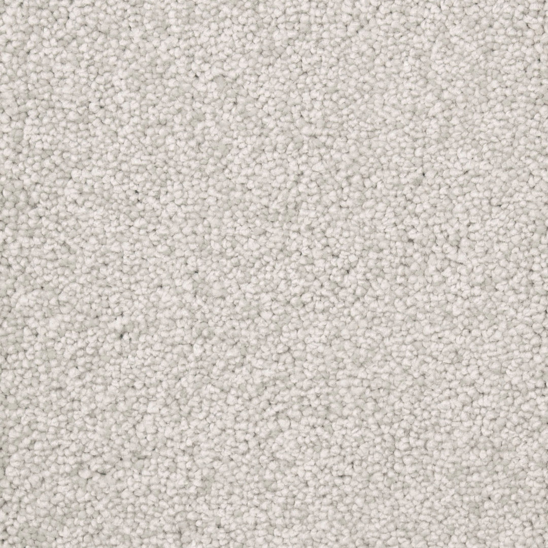Alpha Fb Carpet
