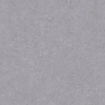 Load image into Gallery viewer, Apollo Vinyl Flooring