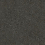 Load image into Gallery viewer, Zeus Vinyl Flooring