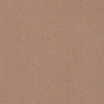 Load image into Gallery viewer, Badian – Tarasafe Standard Flooring by Gerflor