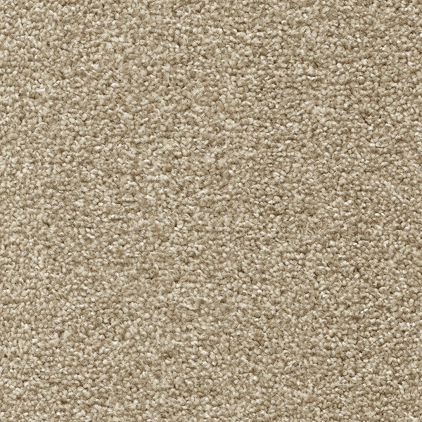 Color-Blind Oak