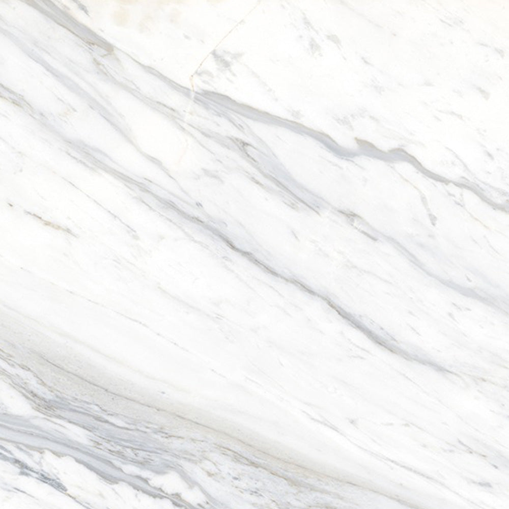 CALACATTA BELGIA - 1200x600 High Gloss Porcelain Tile