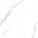 Load image into Gallery viewer, CALACATTA ELITE - 1200x600 High Gloss Porcelain Tile
