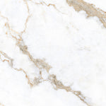 Load image into Gallery viewer, CALCATTA TEXTURE  - 120x120 High Gloss Porcelain Tile
