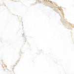 Load image into Gallery viewer, CALCATTA TEXTURE  - 120x120 High Gloss Porcelain Tile

