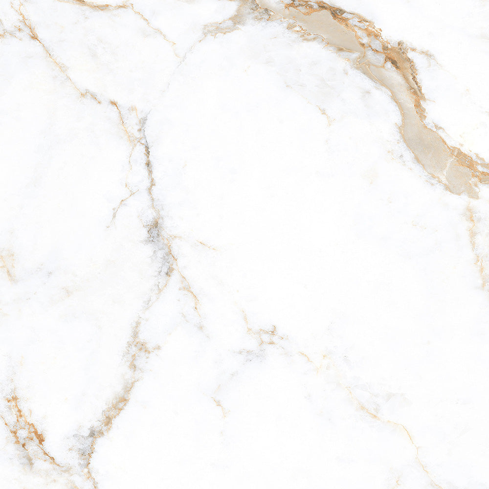 CALCATTA TEXTURE  - 120x120 High Gloss Porcelain Tile
