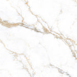 Load image into Gallery viewer, CALCATTA TEXTURE  - 120x120 High Gloss Porcelain Tile
