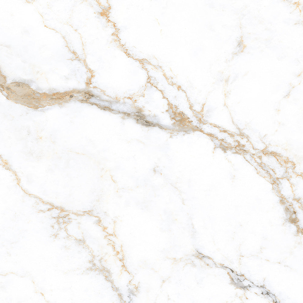 CALCATTA TEXTURE  - 120x120 High Gloss Porcelain Tile
