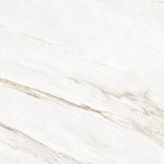 Load image into Gallery viewer, CAVALLO  - 120x120 High Gloss Porcelain Tile
