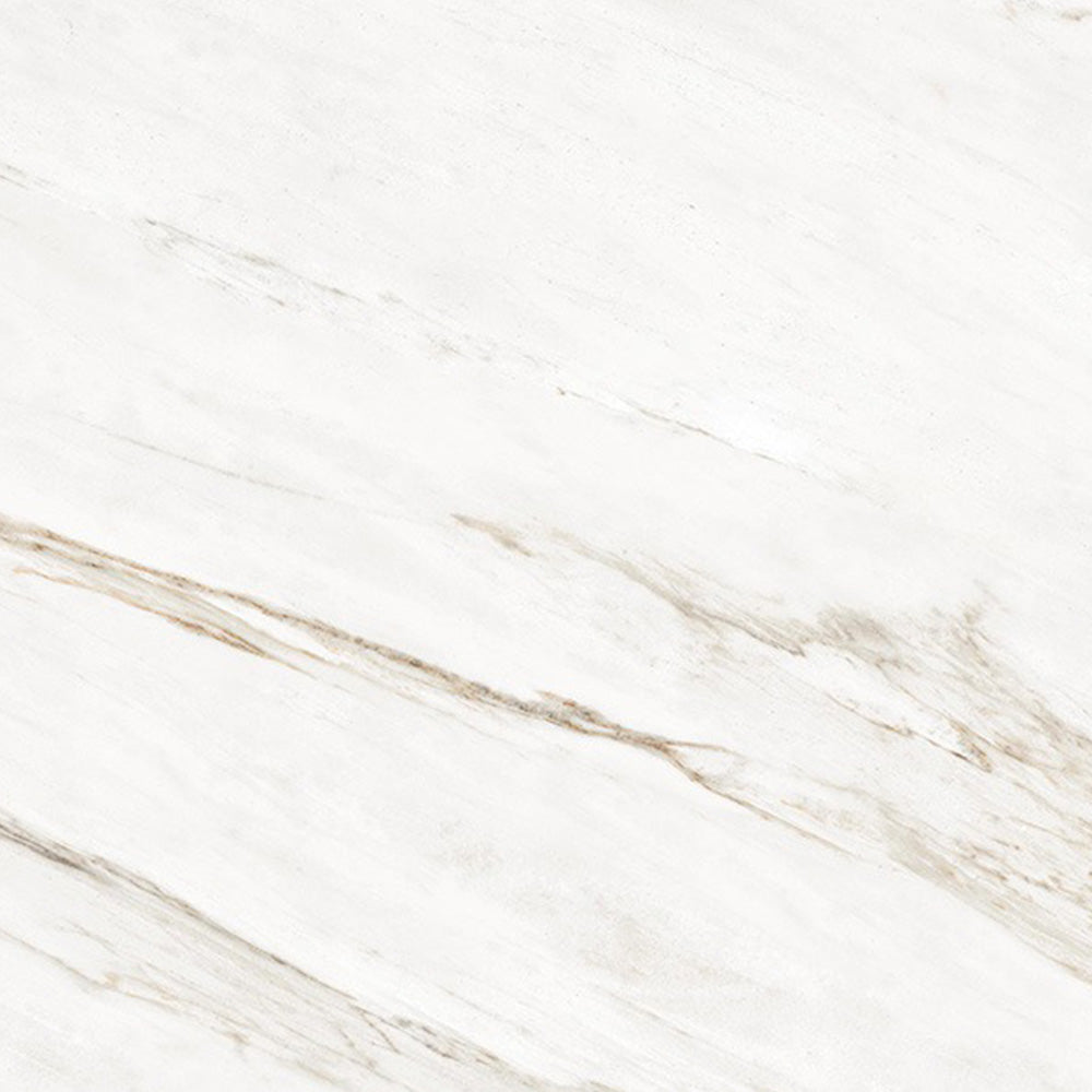 CAVALLO  - 120x120 High Gloss Porcelain Tile