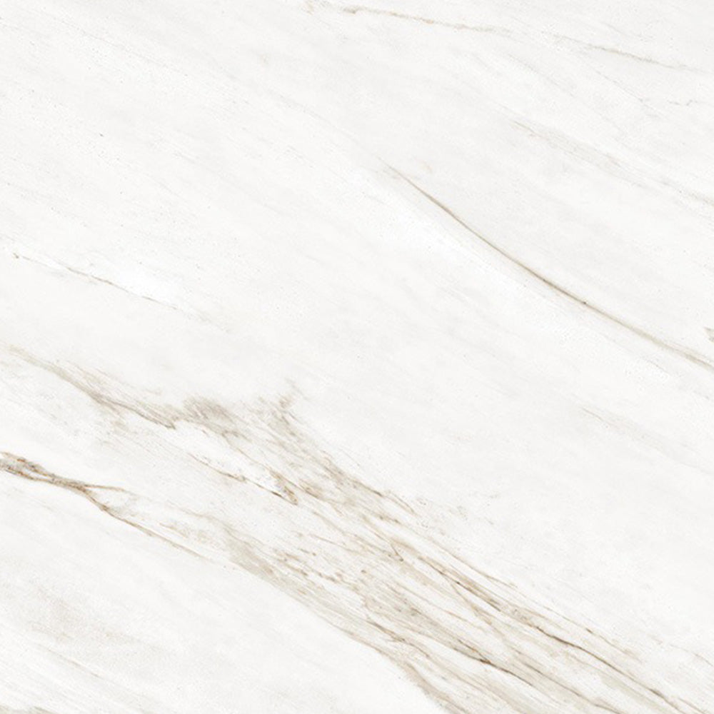 CAVALLO  - 120x120 High Gloss Porcelain Tile