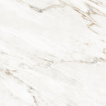 Load image into Gallery viewer, CAVALLO  - 120x120 High Gloss Porcelain Tile
