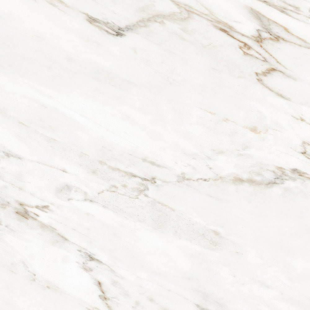 CAVALLO  - 120x120 High Gloss Porcelain Tile