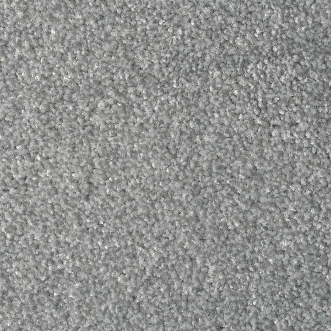 Feelings Ab Carpet