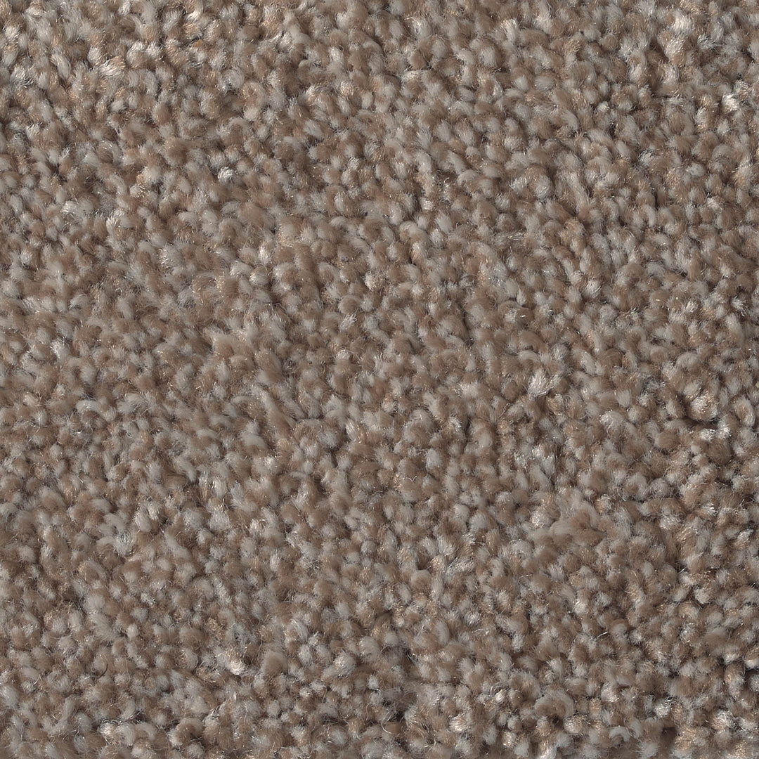 Feelings Ab Carpet
