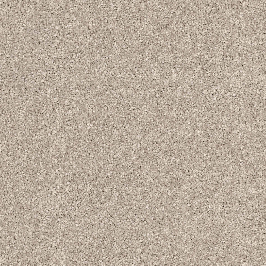 Feelings Ab Carpet
