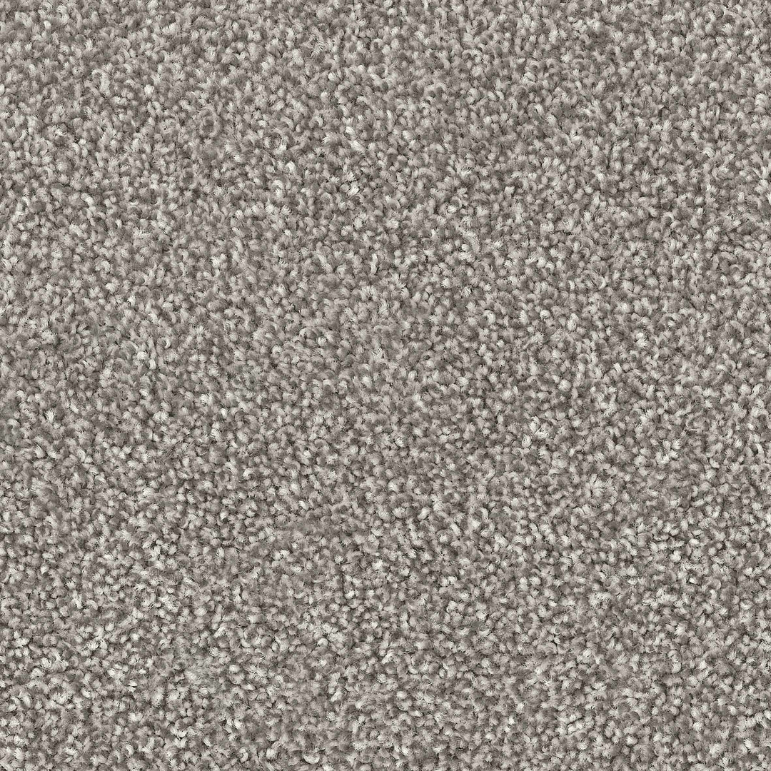 Feelings Ab Carpet