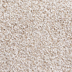 Load image into Gallery viewer, Super Twist Sb Carpet