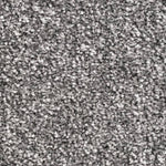 Load image into Gallery viewer, Brookyln Sb Carpet