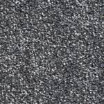 Load image into Gallery viewer, Brookyln Sb Carpet
