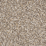Load image into Gallery viewer, Brookyln Sb Carpet