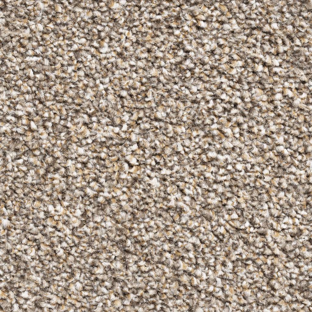 Brookyln Sb Carpet