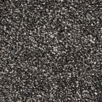 Load image into Gallery viewer, Brookyln Sb Carpet