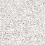 Load image into Gallery viewer, Carousel Plus Carpet