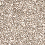 Load image into Gallery viewer, Carousel Plus Carpet
