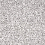 Load image into Gallery viewer, Carousel Plus Carpet