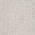 Load image into Gallery viewer, Carousel Plus Carpet