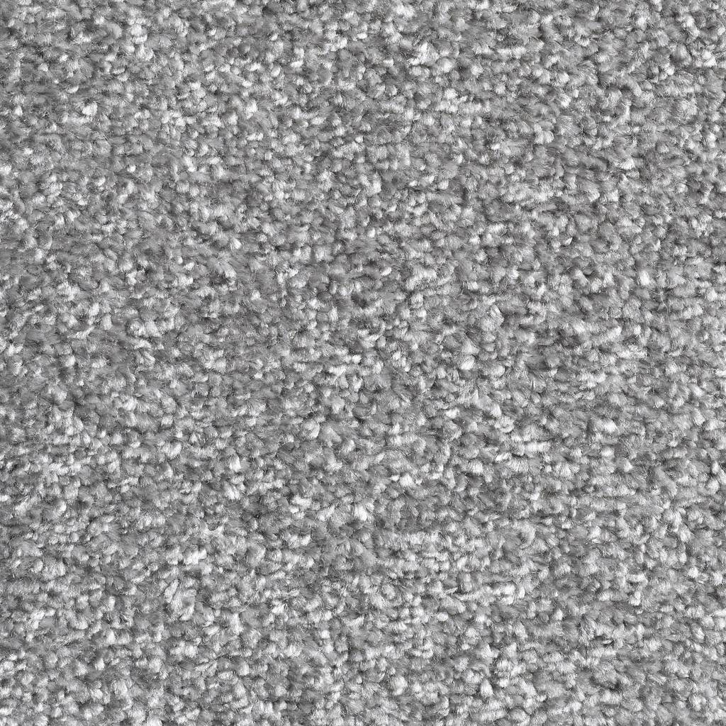Lazio Ab Carpet