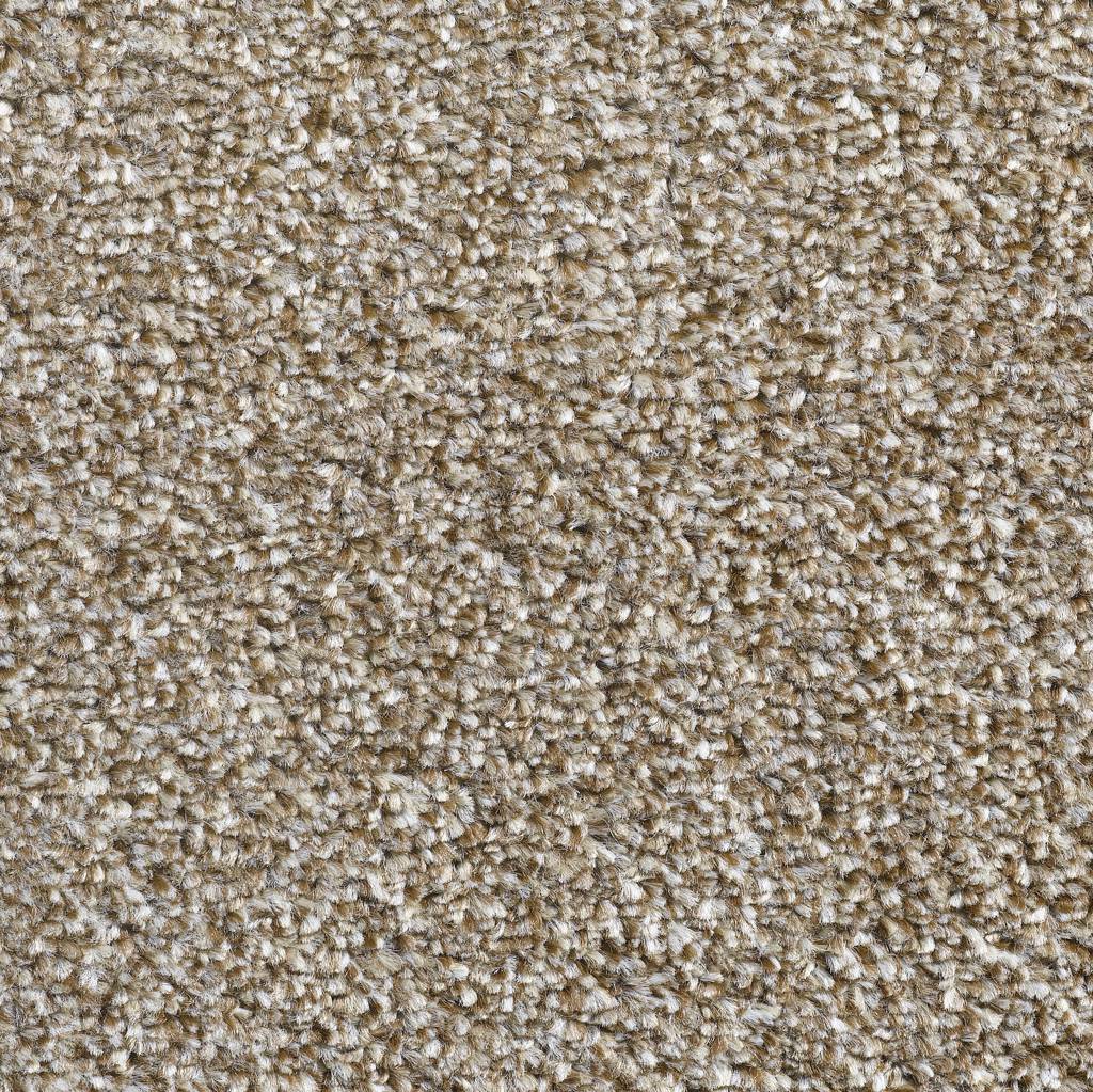 Lazio Ab Carpet