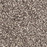 Load image into Gallery viewer, Alicante Saxy Carpet